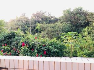 a fence in front of a garden with red roses at Apartamento Aconchegante - Boraceia (Bertioga) in Bertioga