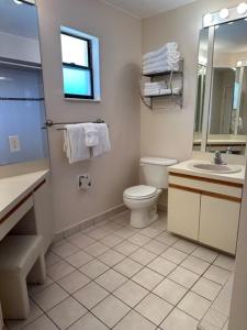 a bathroom with a toilet and a sink and a mirror at Treasure Island Beach Club 727-360-7096 in St Pete Beach