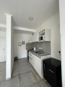 eine weiße Küche mit Spüle und Mikrowelle in der Unterkunft departamento céntrico y moderno in Gualeguaychú