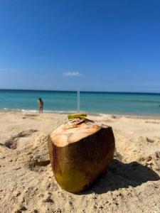 Paesaggio naturale nelle vicinanze della casa vacanze