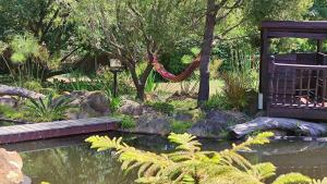 a hammock hanging over a pond in a garden at Blissful Country Garden Self-Catering Cottage in Grabouw
