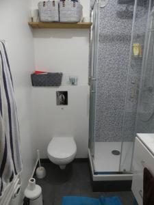 La petite salle de bains est pourvue d'une douche et de toilettes. dans l'établissement Lovely room in quiet appartment, à Ivry-sur-Seine
