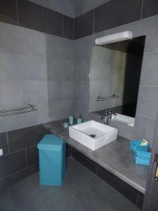 Olmeta-di-Tuda的住宿－Tout confort pour explorer la Haute Corse，一间带水槽和镜子的浴室