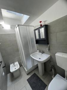een badkamer met een wastafel, een toilet en een douche bij Domus Isidis room camera singola con cucina in Benevento