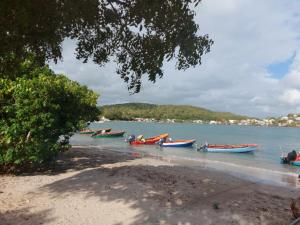 un groupe de bateaux dans l'eau sur une plage dans l'établissement Studio Tartane, à La Trinité