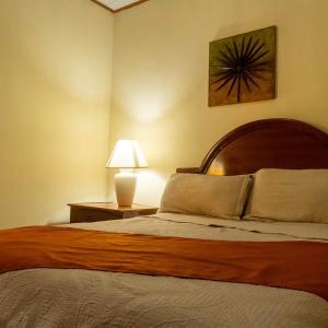 1 dormitorio con 1 cama y 1 lámpara en una mesa en Apart Hotel Acuarious de Luis, en Estelí