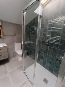 W łazience znajduje się przeszklony prysznic i toaleta. w obiekcie Casa fredi w mieście Cangas de Onís