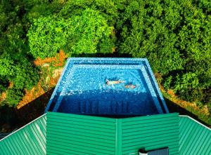 an overhead view of a pool with two people swimming at Villa Club Tropicana Carana with infinity pool in Machabee