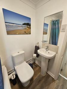 Kent的住宿－Coolinge Apartment，浴室配有白色卫生间和盥洗盆。