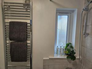 Koupelna v ubytování Coolinge Apartment