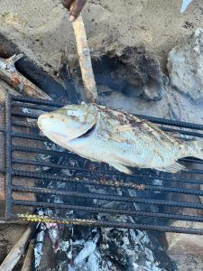 un pez está cocinando en una parrilla con un palo en Appartement Melissa97- Bât4 Spacieux à Dzamandzar en Nosy Be