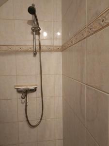 eine Dusche mit Duschkopf in einem Badezimmer in der Unterkunft La petite maison en Puisaye in Dampierre-sous-Bouhy