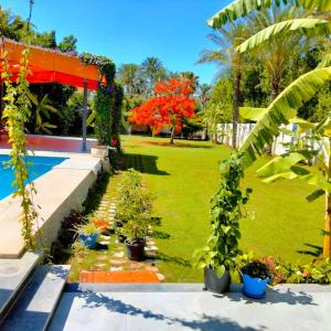 Two pools four bedrooms private villa في Qaryat Shākūsh: حديقة بها نباتات الفخار وحمام سباحة