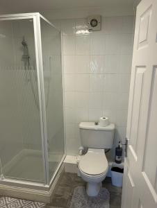 uma casa de banho com um WC e uma cabina de duche em vidro. em 35 Southerndown Avenue em Swansea