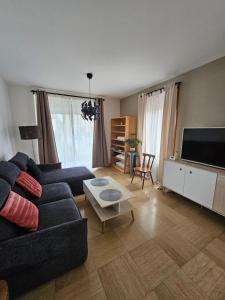 ein Wohnzimmer mit einem schwarzen Sofa und einem TV in der Unterkunft La Maison Richard in Thizy-les-Bourgs
