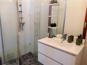 a bathroom with a sink and a shower with a mirror at Studio Jo'kmi in Pointe-Noire