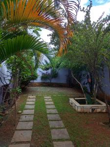 un jardin avec un palmier et un chemin en pierre dans l'établissement Alojamento do João, à Lagoa Santa