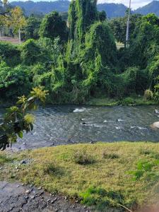 un río en medio de un campo con árboles en El susurro de las mariposas en Jarabacoa