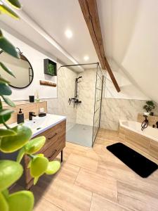 uma casa de banho com um chuveiro, um lavatório e uma banheira em Ferienwohnung Missa em Bayreuth