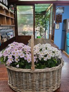 une corbeille de fleurs assise sur une table dans l'établissement VILLA VILLACOLLE, à Procchio