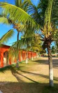 eine Gruppe von Palmen vor einem Gebäude in der Unterkunft Pousada Praia Dos Coqueiros in Conde