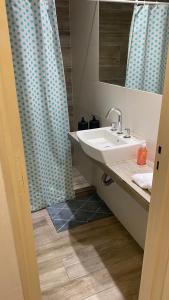 a bathroom with a sink and a blue shower curtain at Departamento 2 hab con patio y parrilla in Rosario
