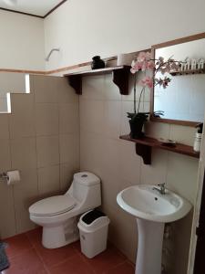 La salle de bains est pourvue de toilettes et d'un lavabo. dans l'établissement Casa Amapola, à La Cruz