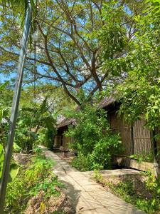 a path next to a building with a tree at Dan Sinh Homestay in Can Tho