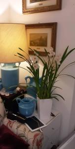 Fotografie z fotogalerie ubytování tosca house 2 v destinaci Varenna