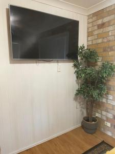 uma televisão de ecrã plano numa parede com uma planta em Spacious studio unit em Rochedale South