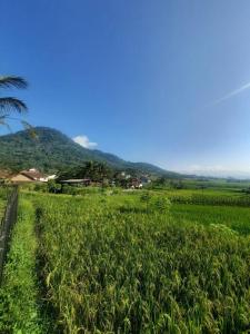 a green field with a mountain in the background at Villa As-salam, Kadungora, Garut in Garut