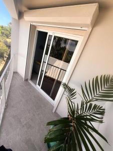 a balcony with a sliding glass door and a plant at La Perle Azurée in Noumea