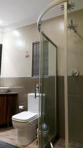 a bathroom with a toilet and a shower at Wapadrand Guest Suite in Pretoria