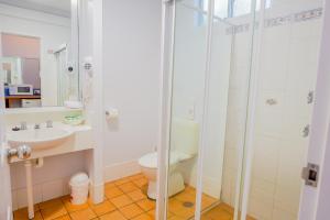 a bathroom with a toilet and a sink and a shower at Abbotsleigh Motor Inn in Armidale