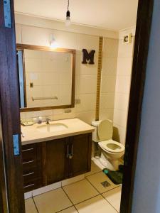 La salle de bains est pourvue d'un lavabo et de toilettes. dans l'établissement Departamento cómodo Cala Cala, à Cochabamba