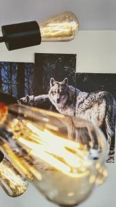 un tazón de vidrio de comida junto a una foto de un lobo en Chalet Labonté en Mont-Tremblant
