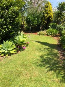 un patio con césped verde, plantas y árboles en Motel Bream, en Mallacoota