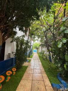 a walkway leading down a street with pumpkins on the grass at Capitolio Canoa Quebrada in Canoa Quebrada