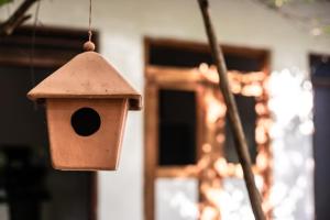 Fotografie z fotogalerie ubytování AURORA Midigama v destinaci Ahangama