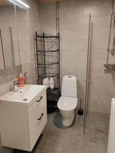 a bathroom with a white toilet and a shower at Upea yksiö ydinkeskustasta. in Lappeenranta