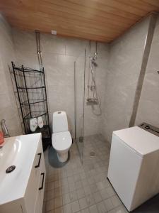 een badkamer met een douche, een toilet en een wastafel bij Upea yksiö ydinkeskustasta. in Lappeenranta