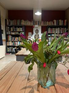 Knihovna v bed and breakfast