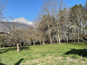 a field with trees and a mountain in the background at Chalet Savoyard 6 pers vue panoramique Chez Mani in Sallanches