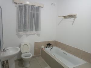 a bathroom with a toilet and a tub and a sink at Khaya Mnandi Leisure Suites in Pretoria