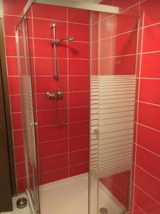 a shower in a red tiled bathroom at Wichtelhaus in Treis-Karden