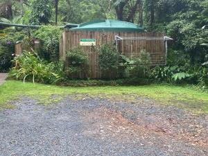 A garden outside Rosella's On Springbrook