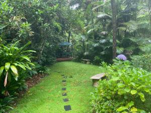 A garden outside Rosella's On Springbrook