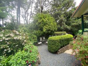 A garden outside Rosella's On Springbrook