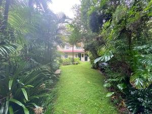 A garden outside Rosella's On Springbrook