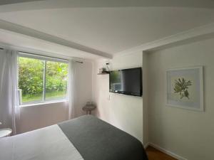 1 dormitorio con 1 cama y TV en la pared en Rosella's On Springbrook, en Springbrook
